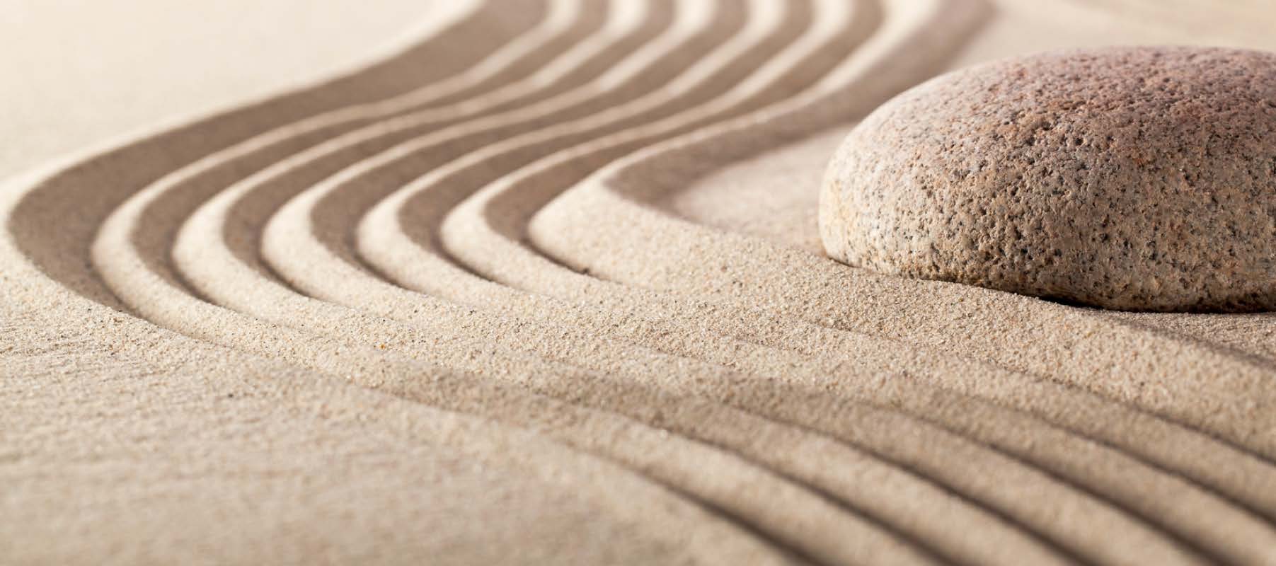 Understanding SIMPLE 401(k) Plans [2026]