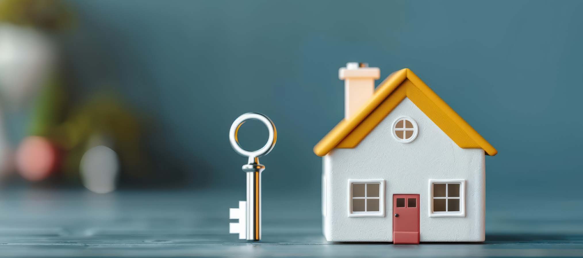 Tapping the Equity in Your Home