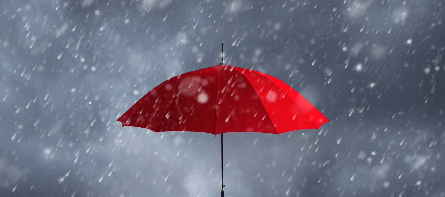 Umbrella Liability Insurance