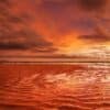 The tide at ebb. Article title: Market Pullback Follows Tariff Tension