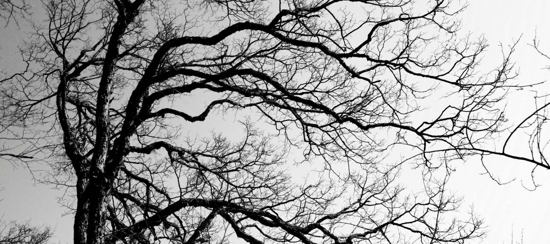 Claiming Life Insurance Benefits